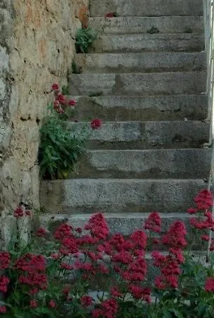 Large Bedroom For 2, Mountain View, 12km To Np Krka, 35km To Sea Guest house